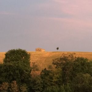 Meet your Posher, Yukiko